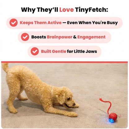 Evastes™ TinyFetch